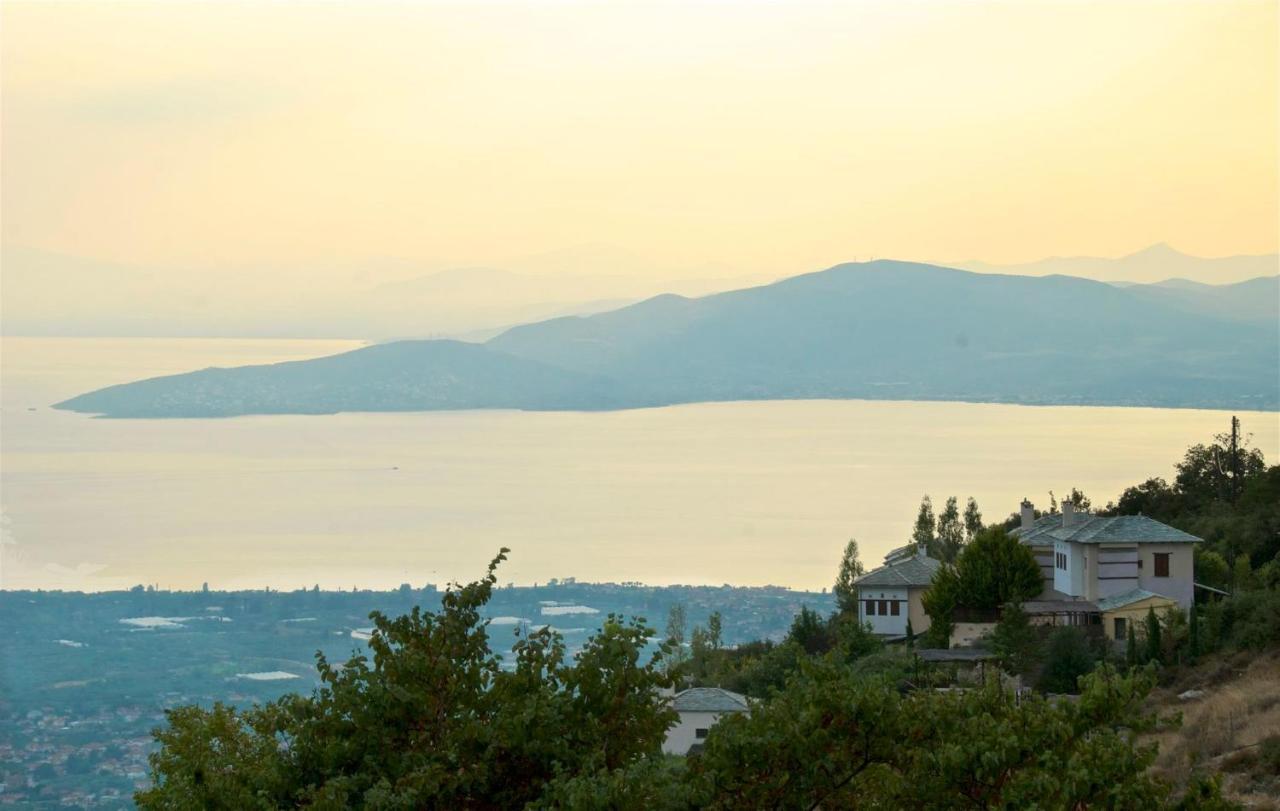 Great Pelion Villa Villa Thalia Private Pool 3 Bedrooms Aghios Georgios Exterior photo